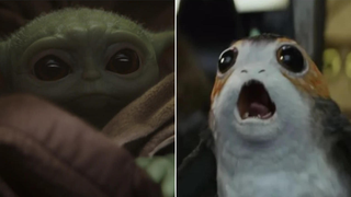 Daisy Ridley accurately observes that Porgs are trashy garbage creatures next to the magnificent Baby Yoda